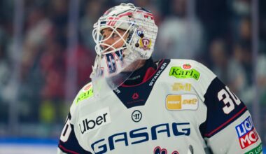 Pleitenserie vorbei: Tiffels erlöst die Eisbären