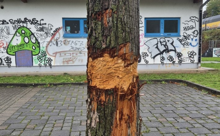 POL-OF: Hinweise erbeten: Wer hat den Baum beschädigt?; Einbrecher nahmen Schmuck und Bargeld mit; 8.000 Euro Sachschaden durch Unfallflucht: Wer kennt den Verursacher? und mehr