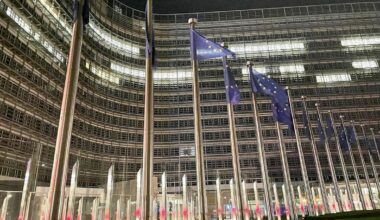"Eurobonds durch die Hintertür" – Ökonomen warnen vor EU-Plänen