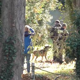 Polizei ermittelt im Fall Rebecca wegen eines Tötungsdelikts 20.10.2025, Brandenburg, Tauche: Einsatzkräfte der Polizei arbeiten auf einem Grundstück in Tauche (Landkreis Oder-Spree). (Quelle: Ivo Böhme/dpa)
