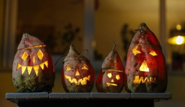 Sechs Tipps für die Herbstferien in Berlin und Brandenburg