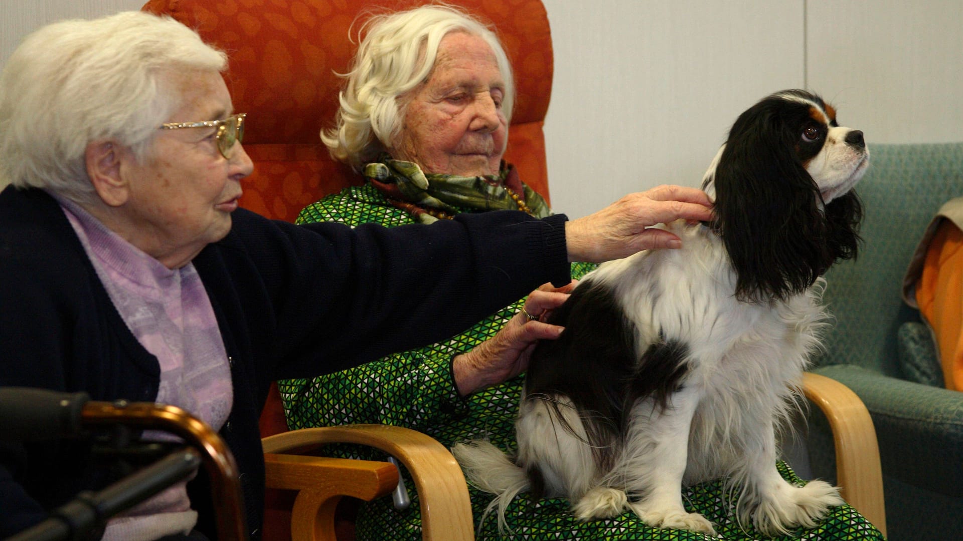 imago images 0299032020