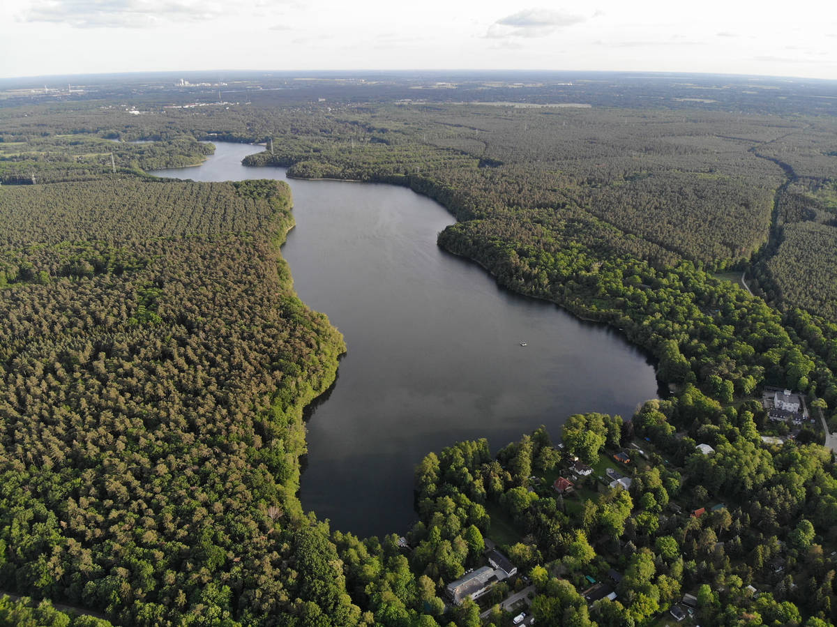 Straussee