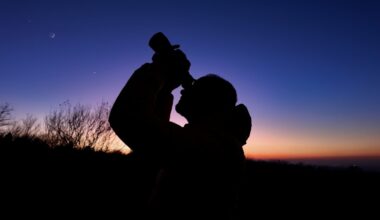 Supermond, Sternschnuppen – und Wolken am Abendhimmel