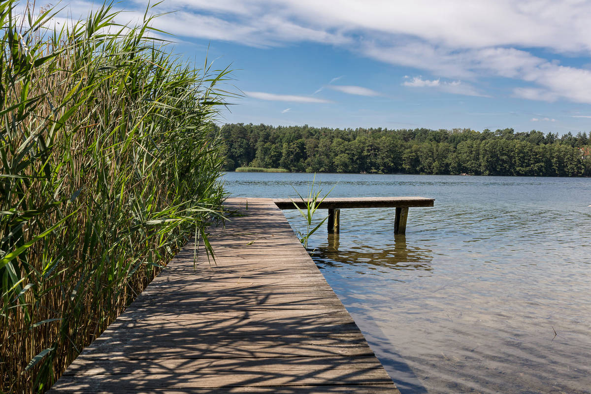 Straussee