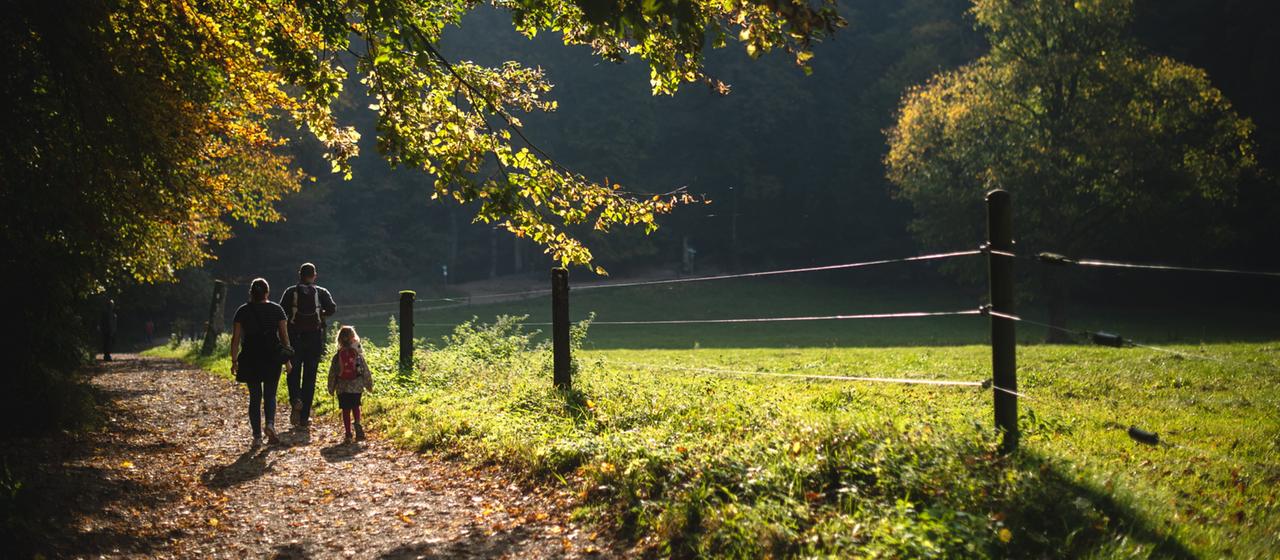 Spaziergänger mit Herbstlaub | dpa Spaziergänger mit Herbstlaub