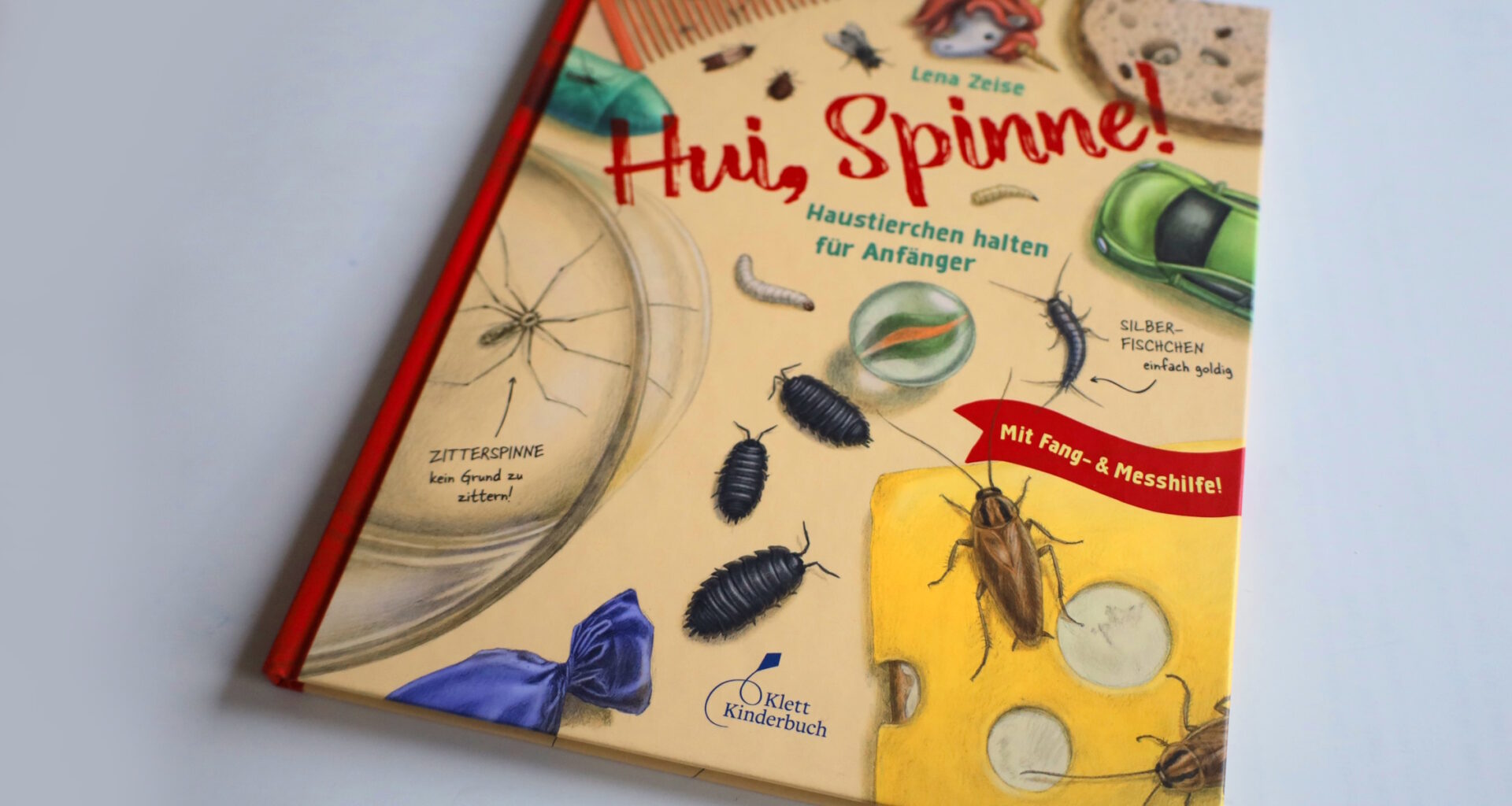 Hui, Spinne! Ein echtes Forscherbuch zu den winzigen Tierchen in unserer Wohnung · Leipziger Zeitung