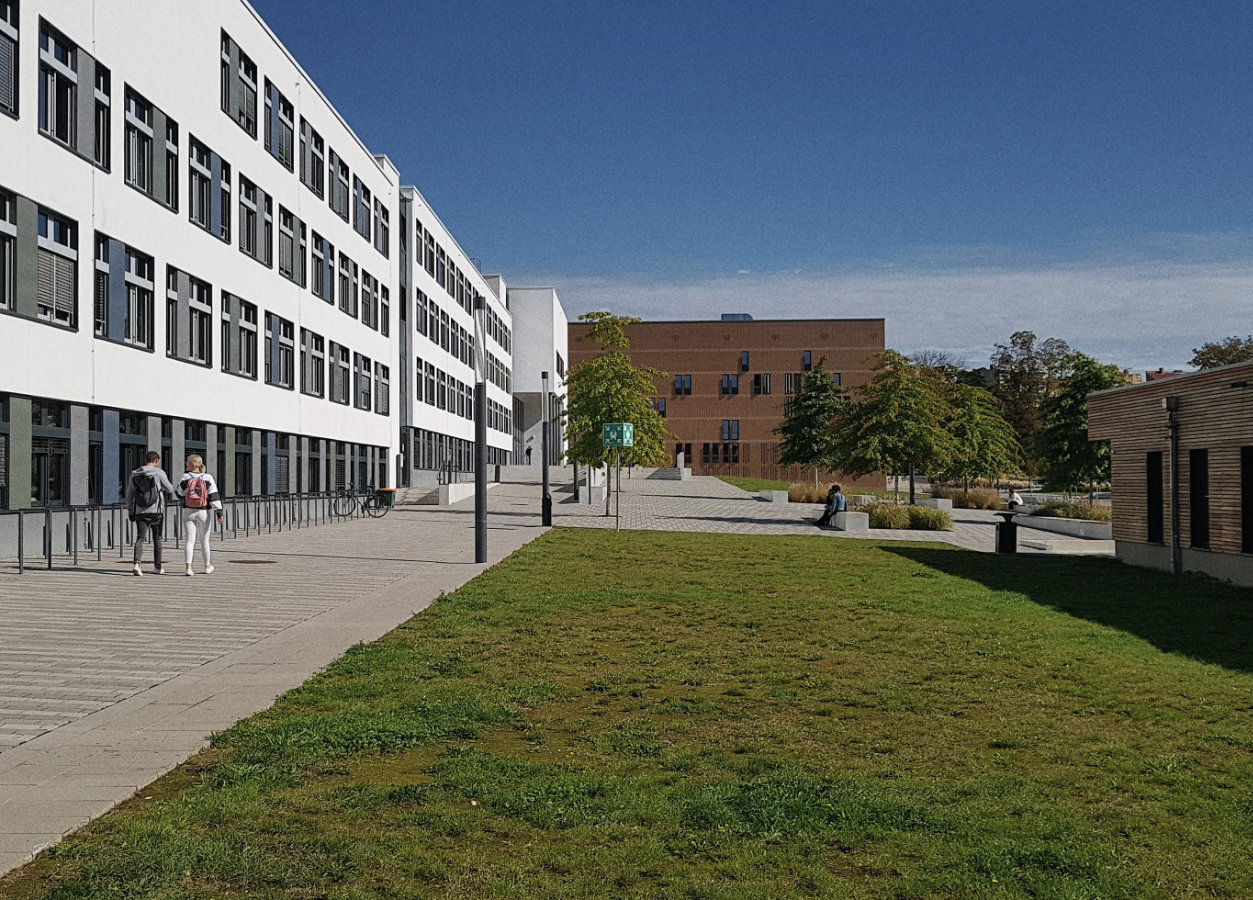 Universität Halle erforscht Akademisierung des Handwerks – Neue Nachwuchsgruppe untersucht Wandel in der Bauwirtschaft - HalleSpektrum.de