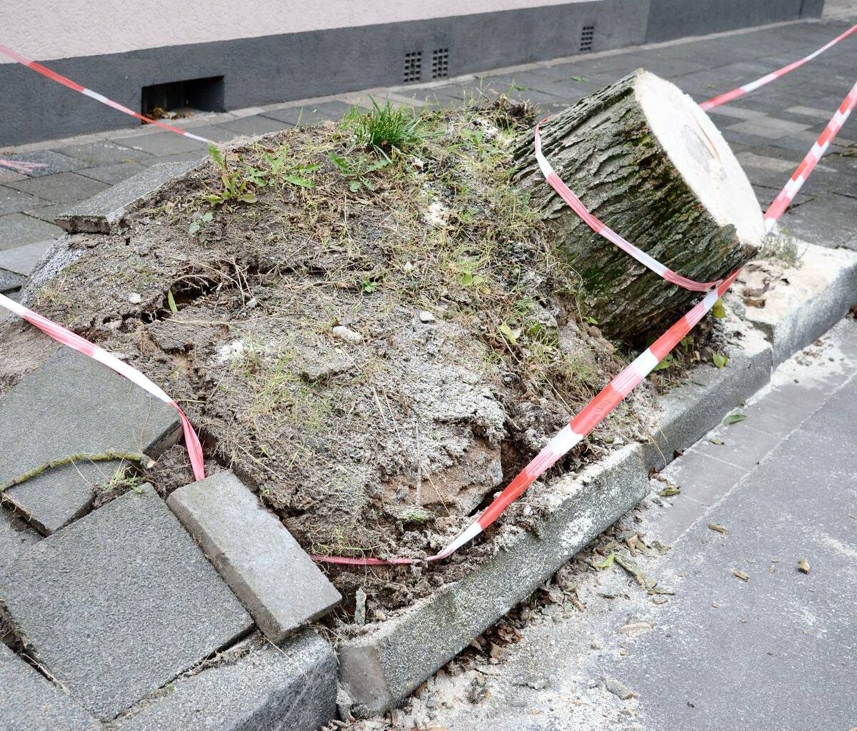 Sturmwarnung für Duisburg-Süd: Windböen bis 80 km/h erwartet