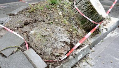 Sturmwarnung für Duisburg-Süd: Windböen bis 80 km/h erwartet