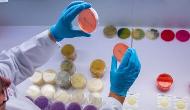 Schleswig-Holstein und Hamburg: Das Ehec-Virus breitet sich im Norden aus