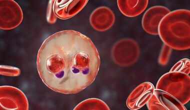 Gefahr für hunderttausende Schwangere und Ungeborene