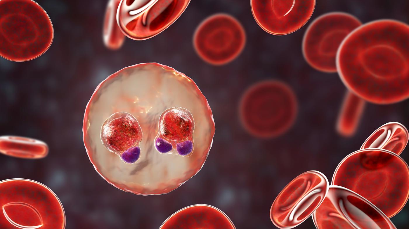 Gefahr für hunderttausende Schwangere und Ungeborene