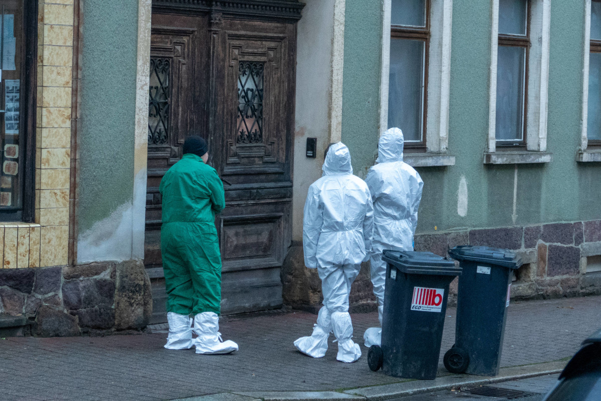 Tierheim Bochum rettet über 30 Tiere aus Messie-Haushalt – Bilder berühren