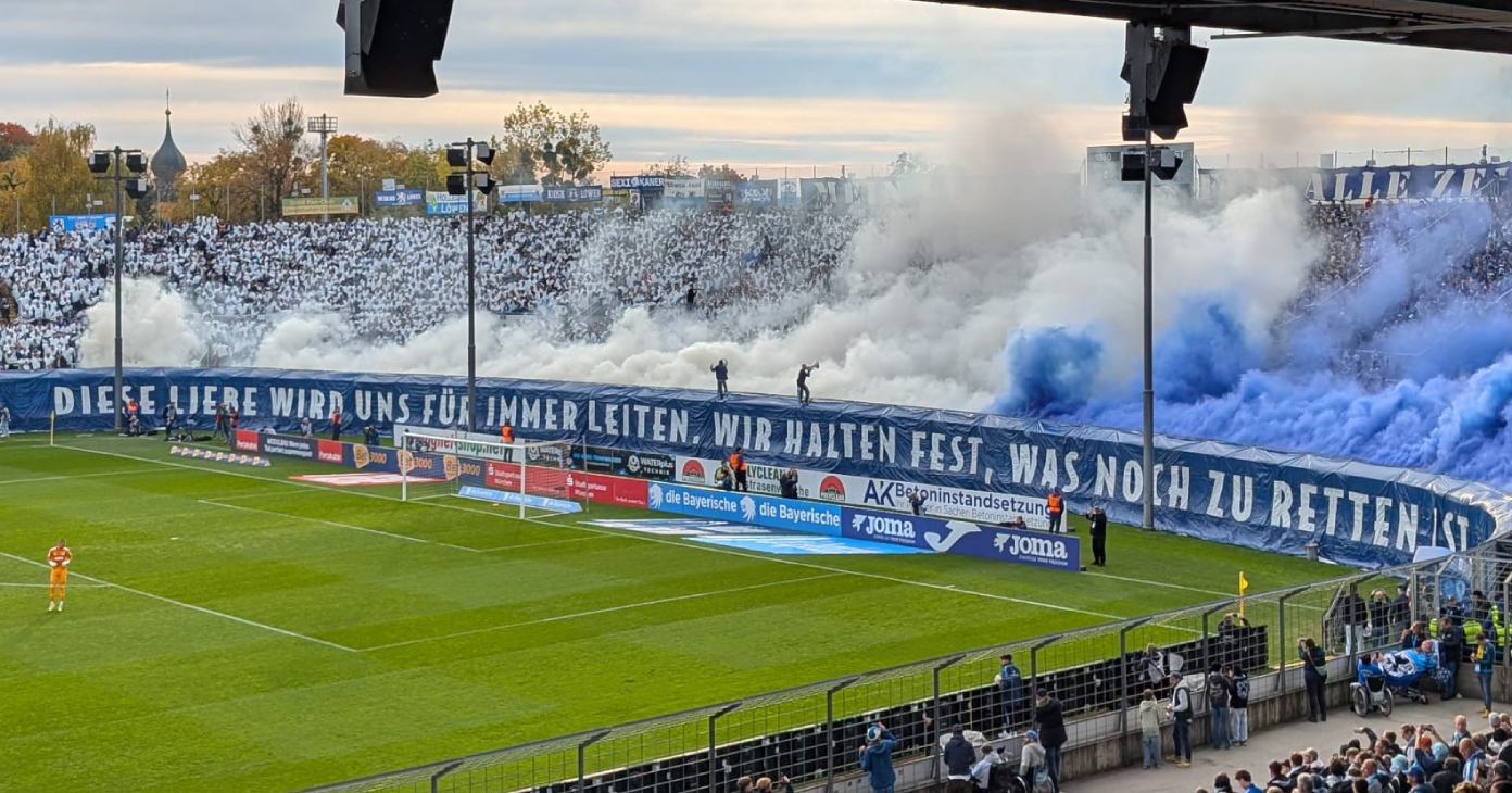 tsv 1860 msv duisburg löwen zebras