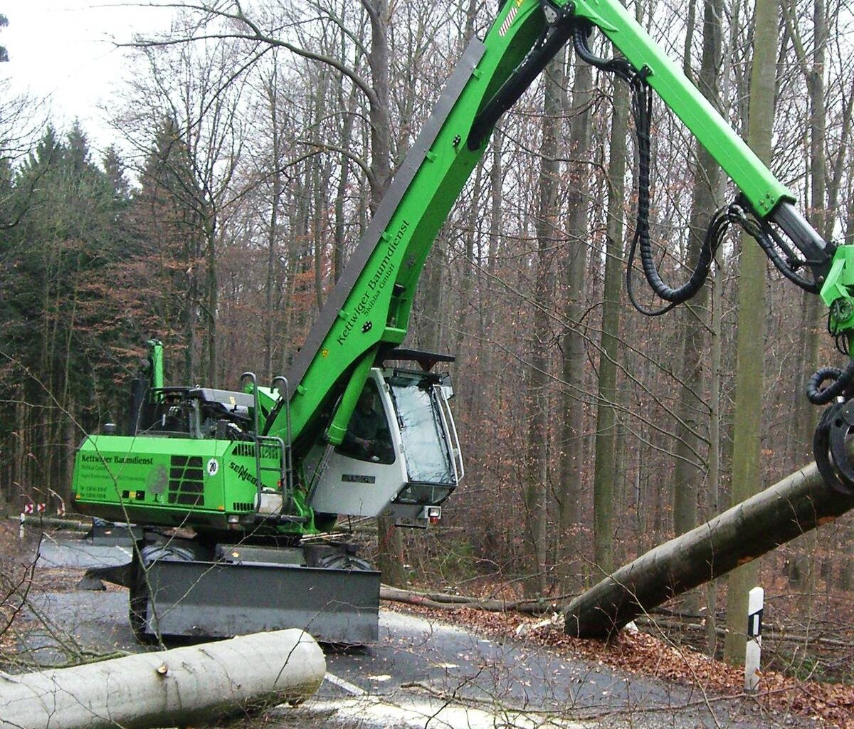 Hier werden in Solingen heute Bäume gefällt
