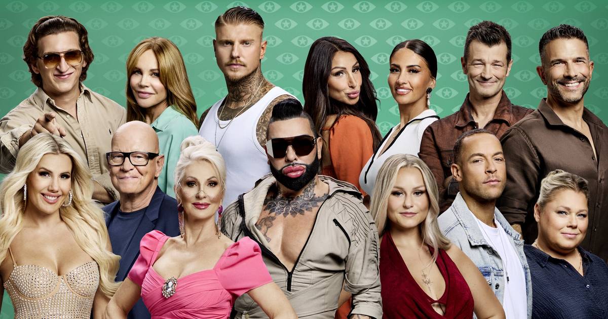 Diese 15 Kandidaten treten an