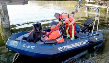 Leichenhunde schlagen bei Suche nach Fabian an