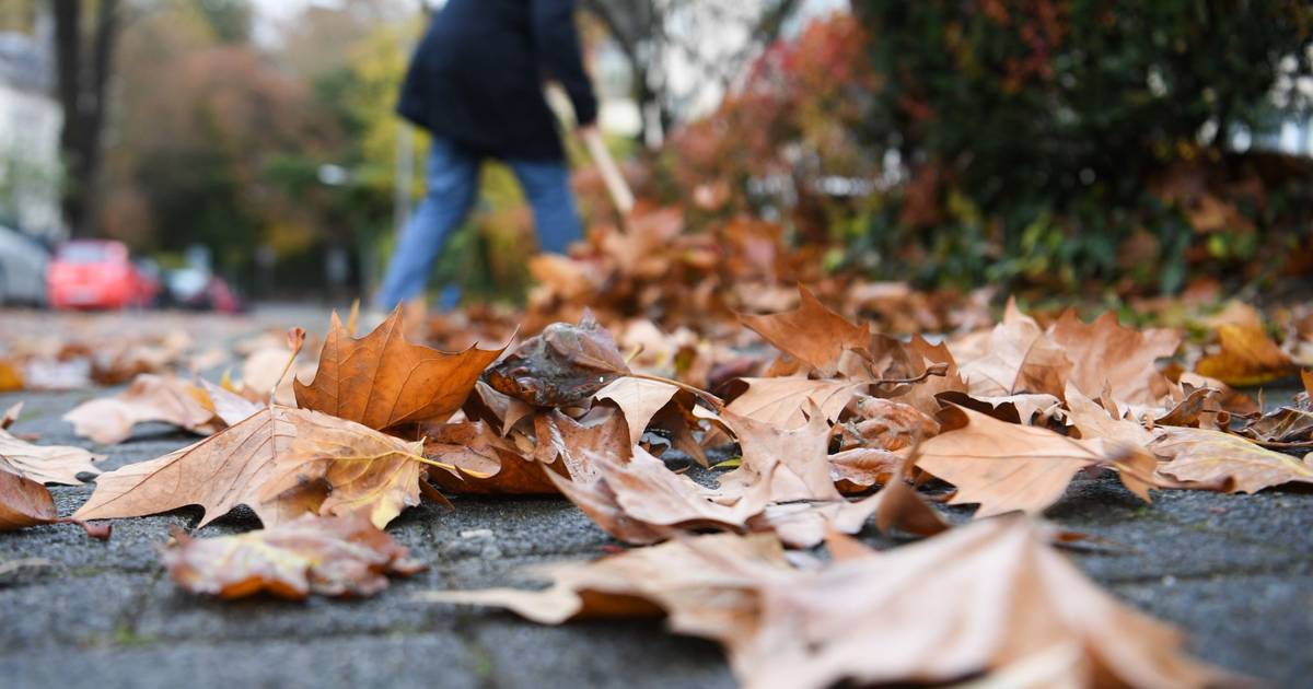 Laub in Moers: Abgabe an sechs Sammelstellen möglich