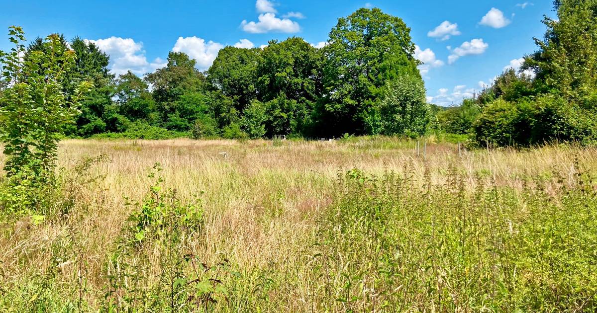 Sportplatz Stöcken – Stadt Solingen lässt Nachbarn abblitzen
