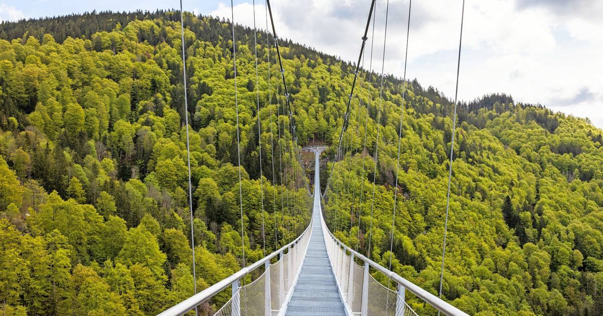 Hängebrücke in Solingen nimmt wichtige Hürde