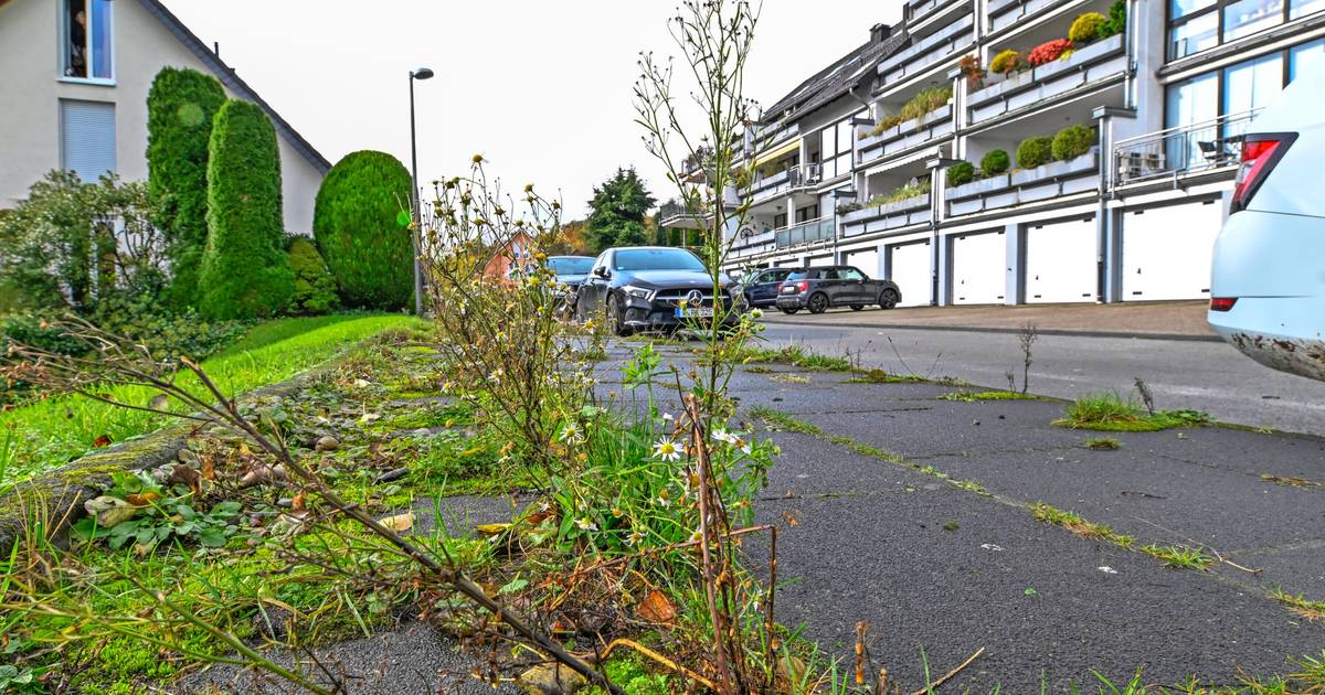 Ein Gehweg, der in Wuppertal für Ärger sorgt