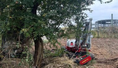 Gerettet geglaubter Baum in Lichtenbroich wird nun doch gefällt