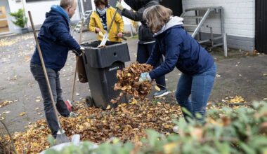 Benrather Ruderer machen Club-Gelände winterfest