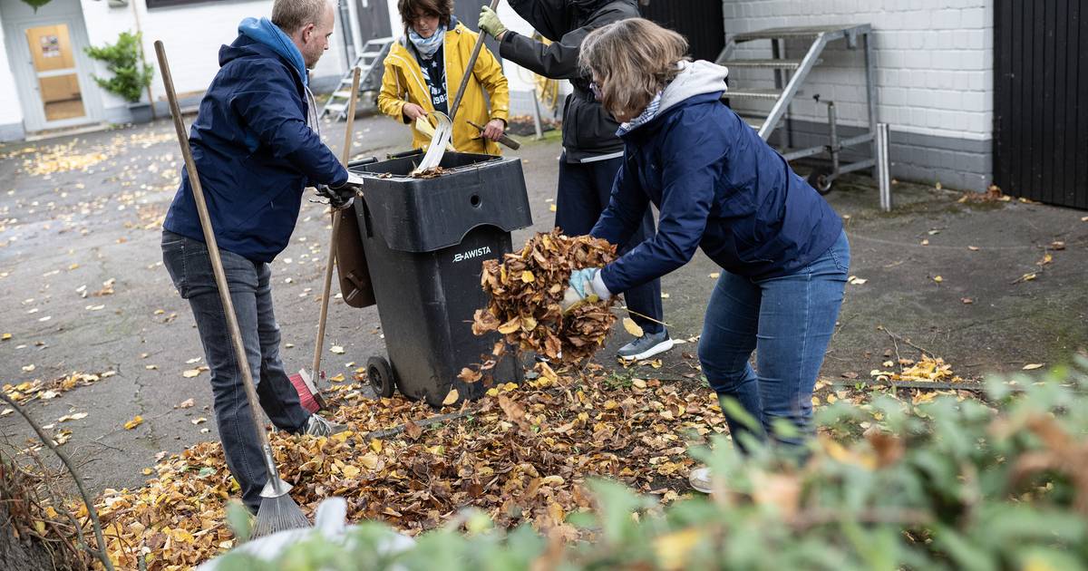 Benrather Ruderer machen Club-Gelände winterfest