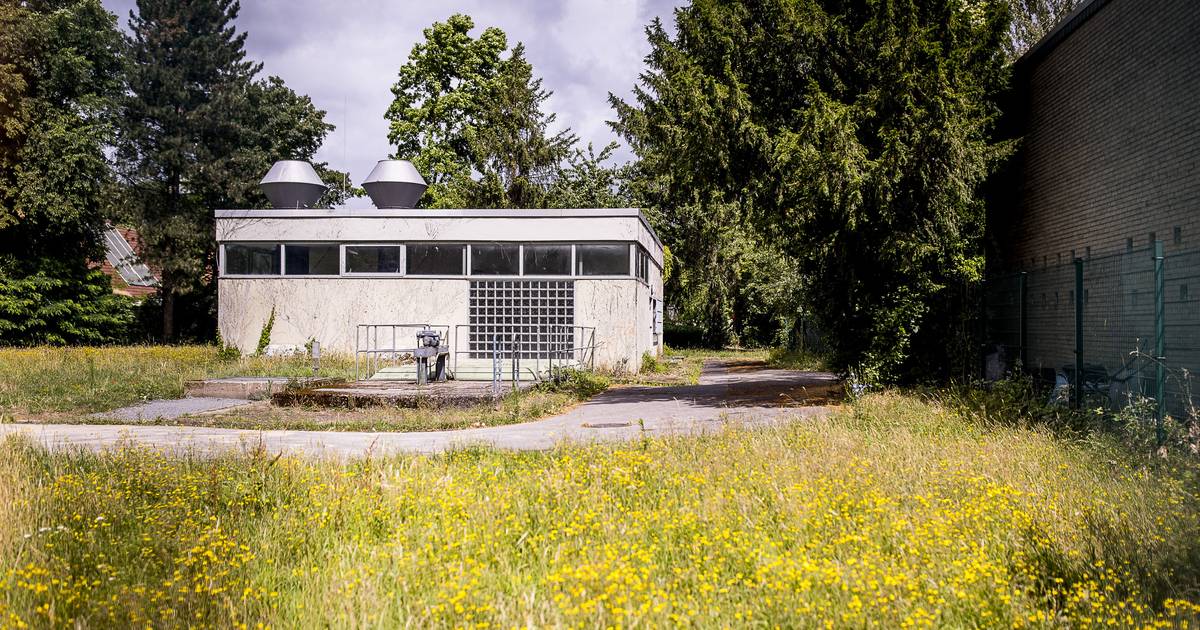 Anwohner in Düsseldorf kämpfen weiter für mehr Schutz vor Starkregenüberschwmmungen