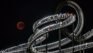 KI oder Tiger & Turtle