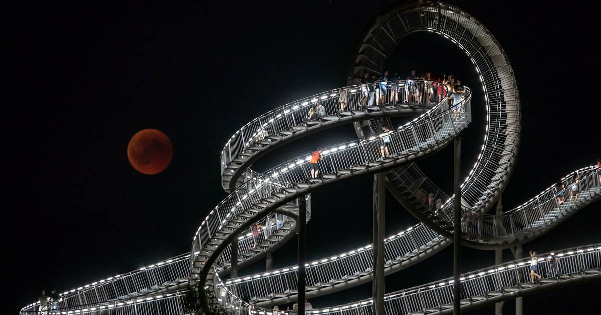 KI oder Tiger & Turtle