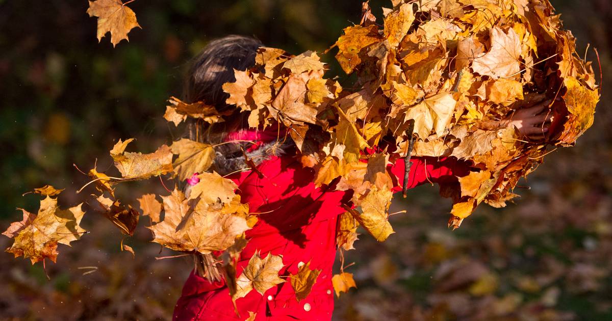 Das können Kinder in den Herbstferien 2025 erleben