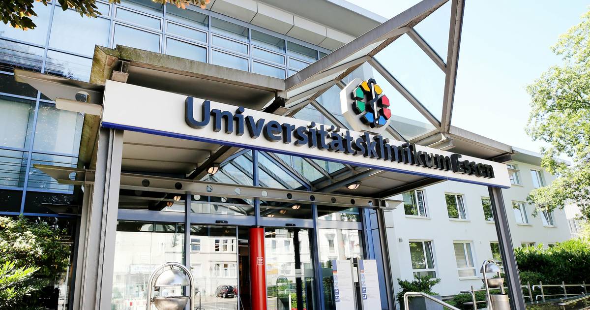 Sechs aktuelle Fälle von Pilzvergiftung