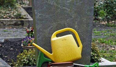 Abwasser, Friedhof, Müll – das gilt 2026