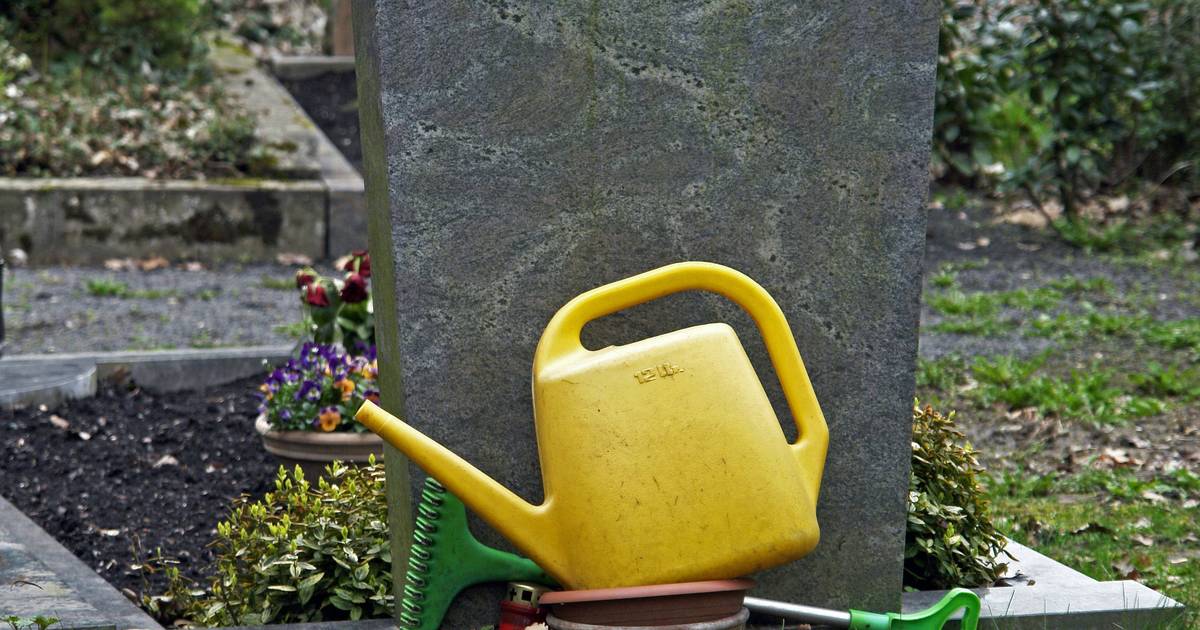 Abwasser, Friedhof, Müll – das gilt 2026