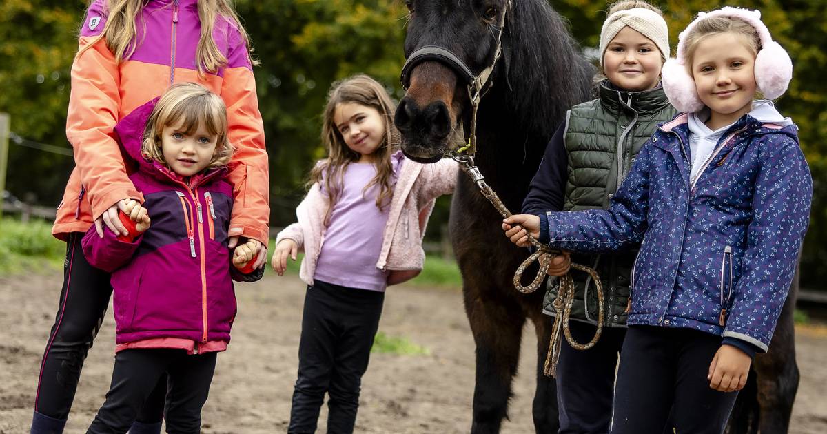 Ferienwoche auf dem Kinderbauernhof in Düsseldorf