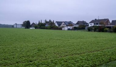 Neue Infos zu Wohngebiet im Westen von Wickrath