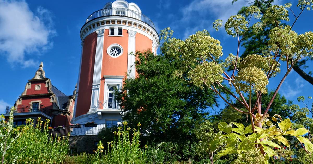 Wuppertal: Programm im Botanischen Garten
