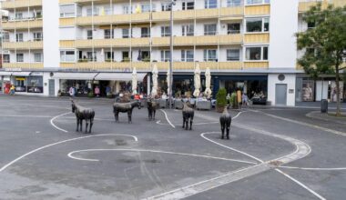 Esel auf Sonnenhausplatz schwer beschädigt bei Unfall