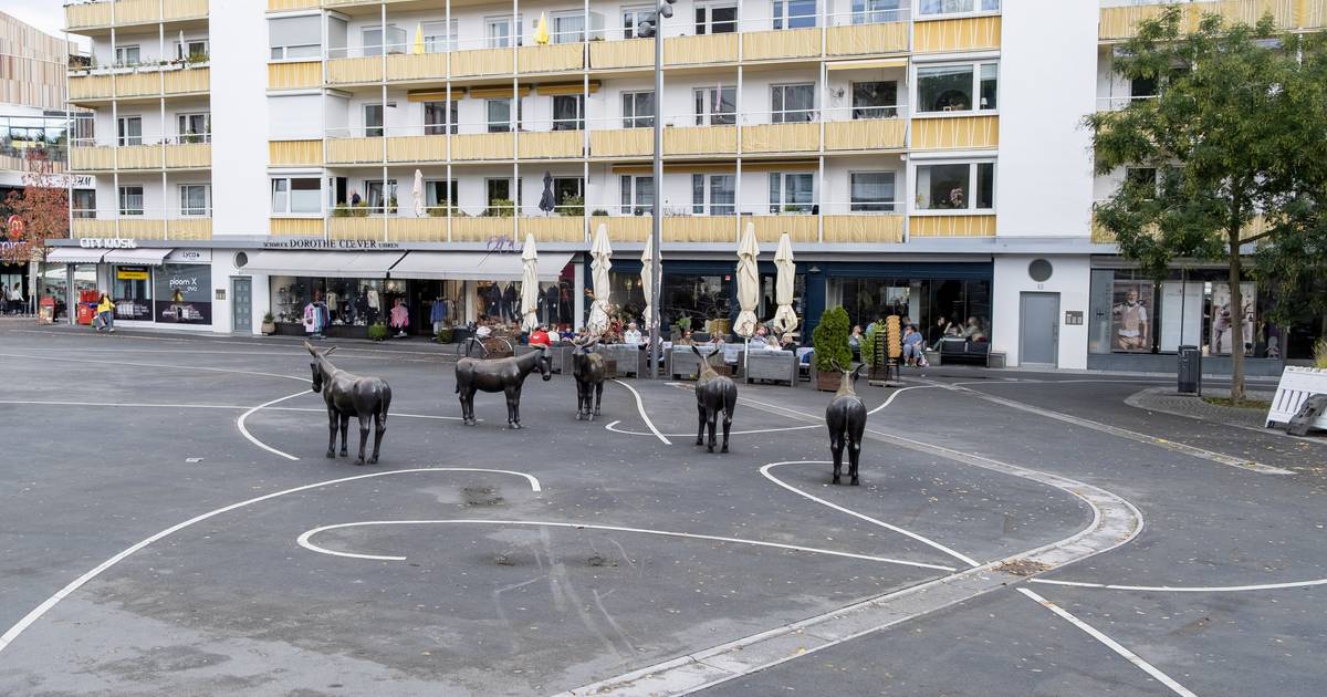 Esel auf Sonnenhausplatz schwer beschädigt bei Unfall