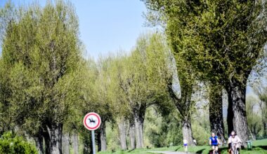 In Viersen werden Tausende Bäume gepflanzt