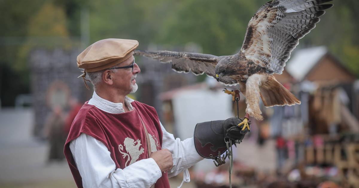 Großes Ritterspektakel in Düsseldorf bei Mittelalterfest in Eller