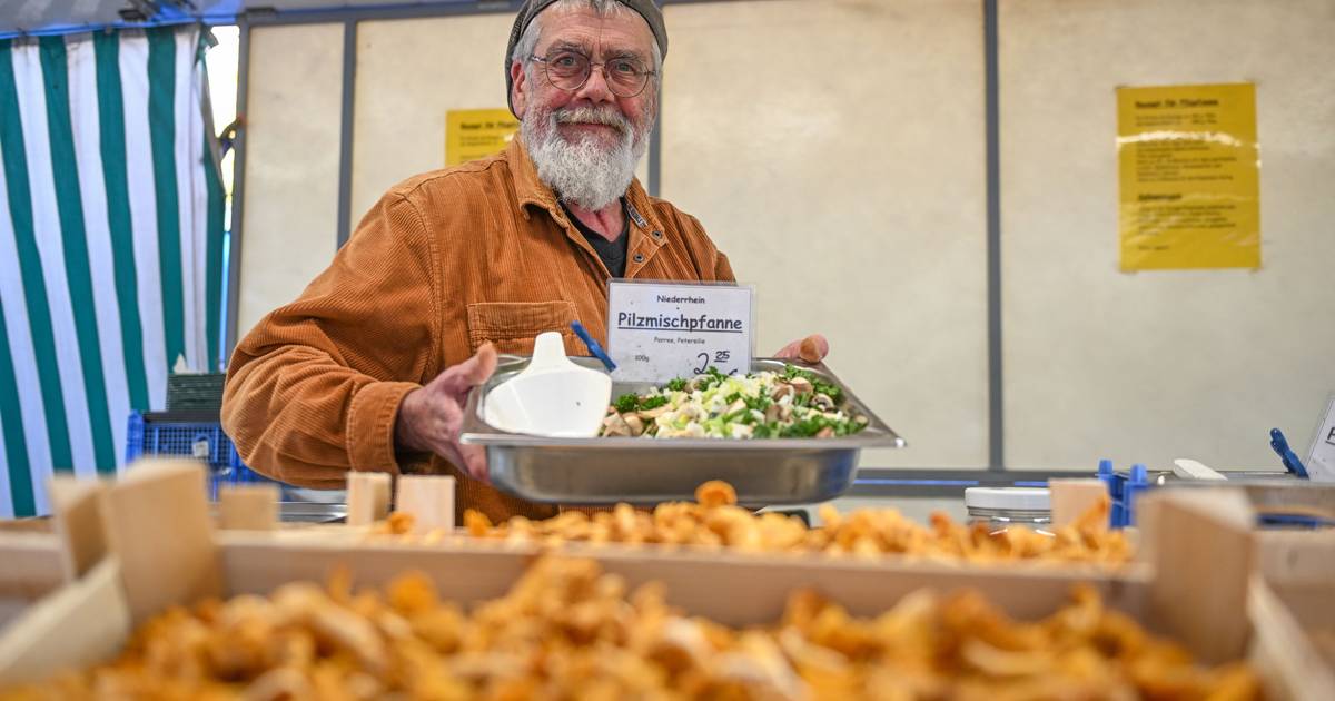 Frank Weiland ist der Fachmann für Pilze