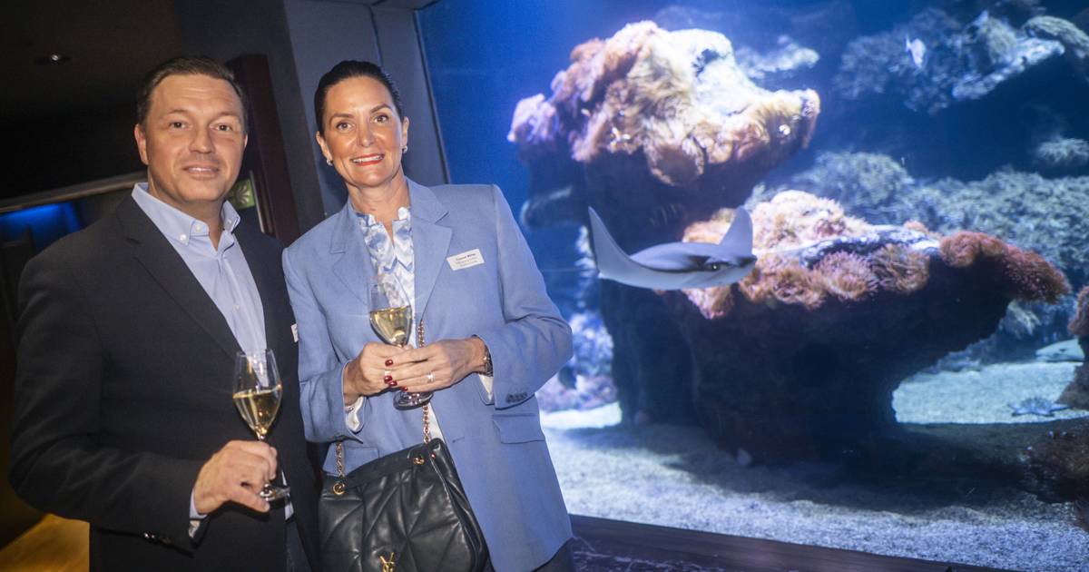 Tropennacht im Aquazoo Düsseldorf 2025: Selfies mit Schlangen