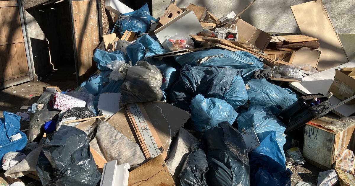 Mülldetektive spüren Verursacher von illegalen Müllbergen auf