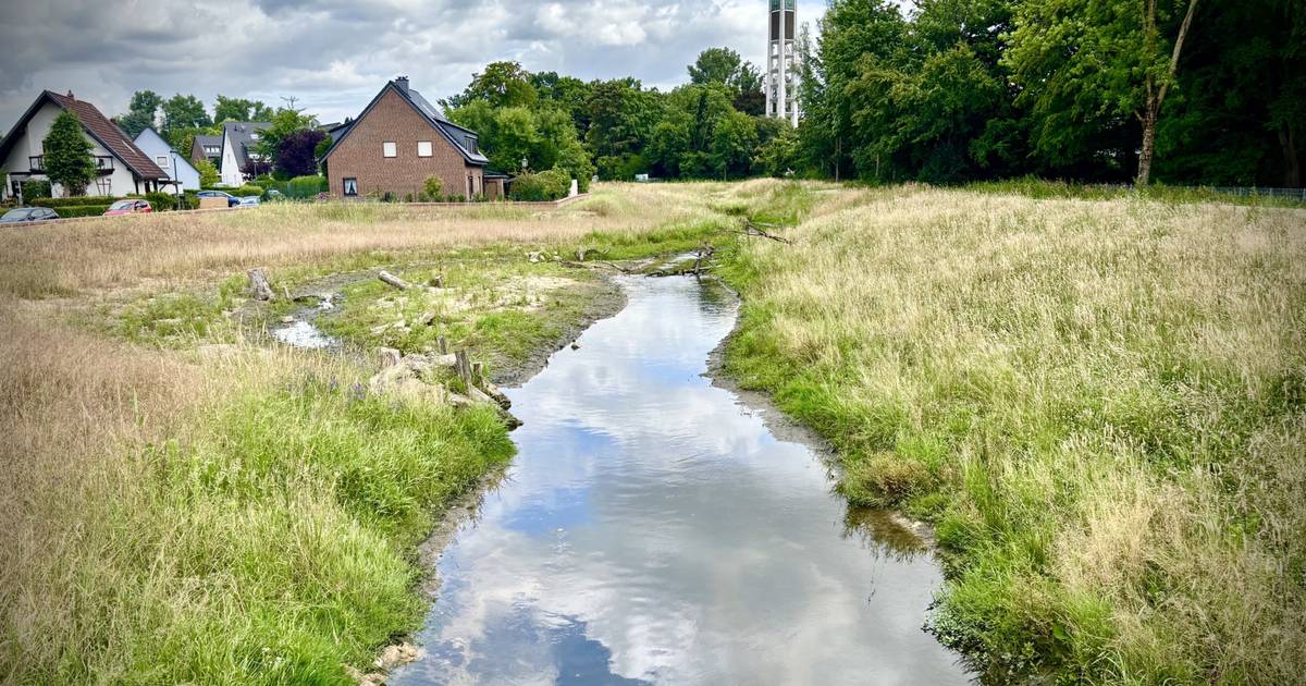 So kann die Stadt sich besser vor Hochwasser schützen