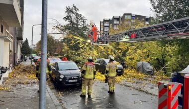 Baum stürzt um und beschädigt parkende Fahrzeuge in Bilk