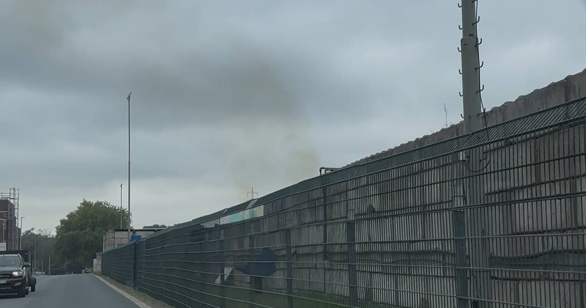 Grüner Rauch über Mönchengladbach: Was dahinter steckt