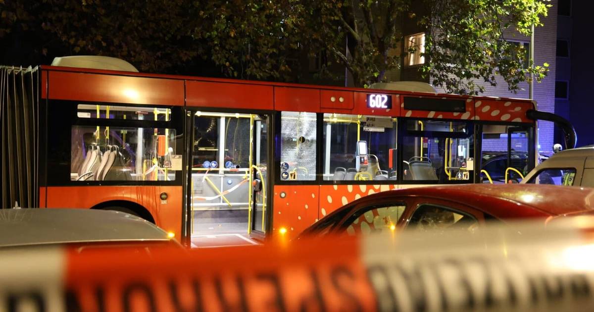 Unbekannte beschädigen Busse der Stadtwerke